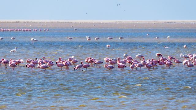 Applications for 2020 Intern Program Are Now Open