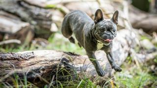 Writing performant code with tidy tools