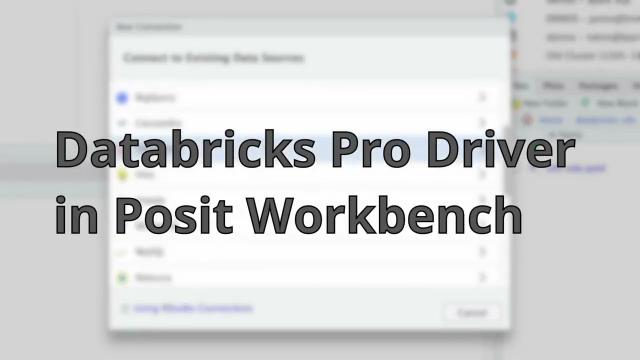 Databricks Pro Driver in Posit Workbench